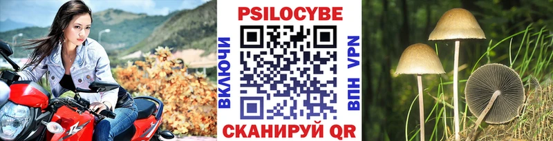 Псилоцибиновые грибы Psilocybe  как найти закладки  это как зайти  Заволжье 